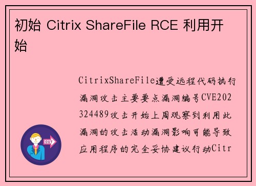 初始 Citrix ShareFile RCE 利用开始 